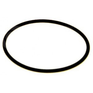 134489 - O-ring