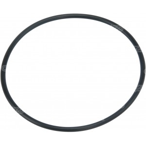 139563 - O-ring