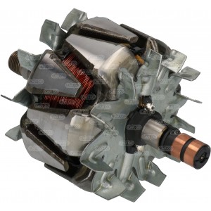 239755 - Läufer